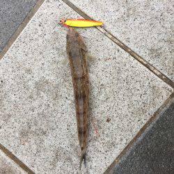 ショアジギング