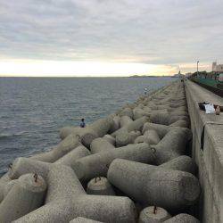 ツバスでしたー