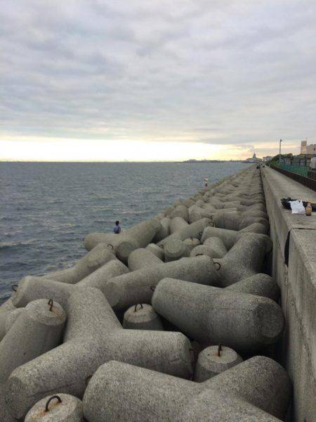 ツバスでしたー