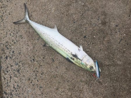 平戸は暴風で釣り出来ず…