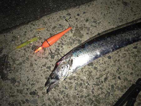 仕事帰りにタチウオ