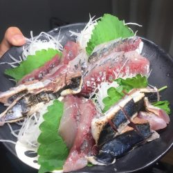 目標魚種達成まであと一種