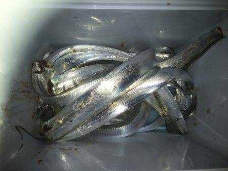 朝練の後の〜仕事帰りの〜夕まずめ♫