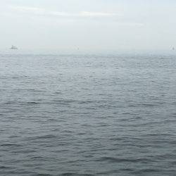 サゴシ♫愛し恋し♫