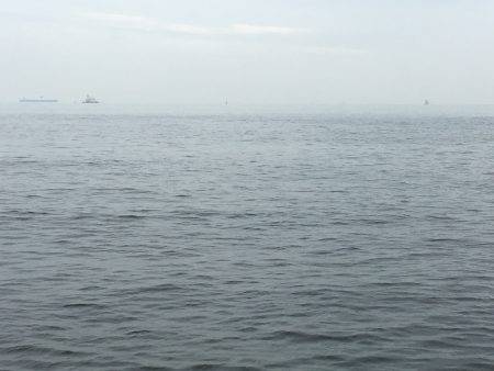 サゴシ♫愛し恋し♫