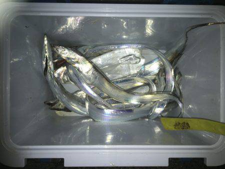 仕事帰りの夕まずめ♫