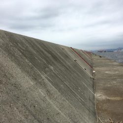 久しぶりの武庫一♫