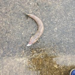 雨にも負けず♫