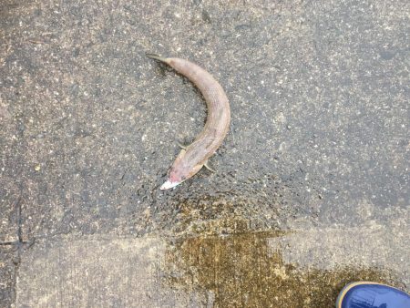 雨にも負けず♫