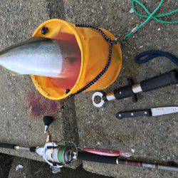 三連チャン初日