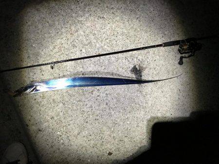 エギングのはずが