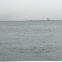 週末は雨でも人多いね〜！