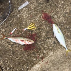 台風後の朝練♫