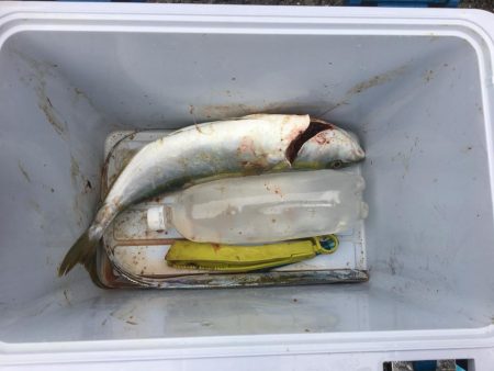 人が多いと釣れんわ〜