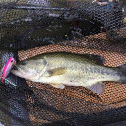 一庫 ボート釣行