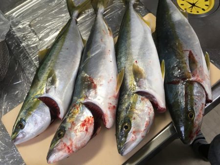 ショアプラッキング・ジギング