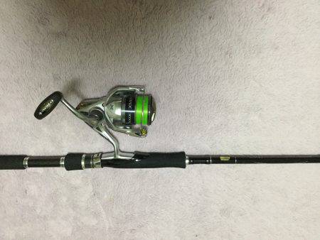 ナイトシーバス