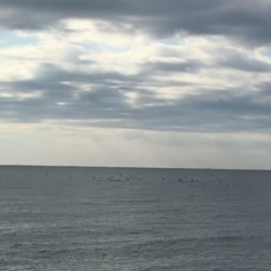 ヒラメ・マゴチ・サゴシ！周りは釣れてたけど…w