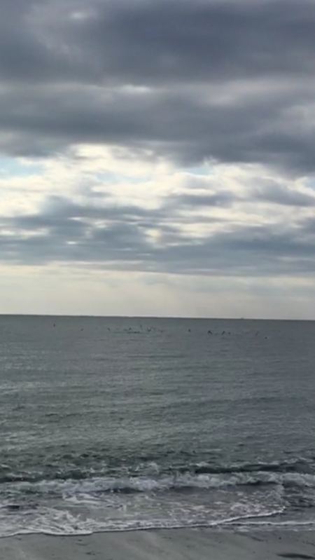 ヒラメ・マゴチ・サゴシ！周りは釣れてたけど…w