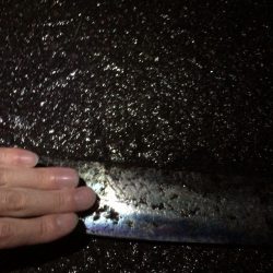 タチウオ ウキ釣り