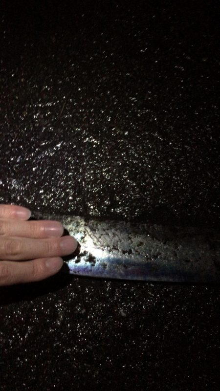 タチウオ ウキ釣り