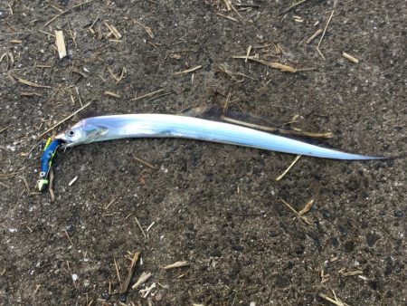 台風後台風前の釣り