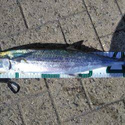 超絶、楽しかった♪