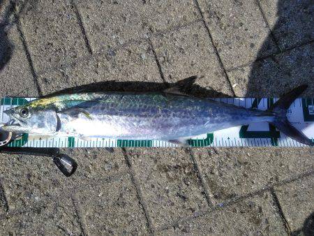 超絶、楽しかった♪