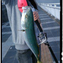 マリーナシティ大波止釣行