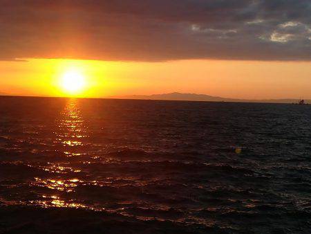 太刀魚リベンジ