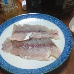 リール新調したので!