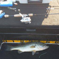 秋パターン調査