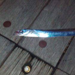 太刀魚ワインド