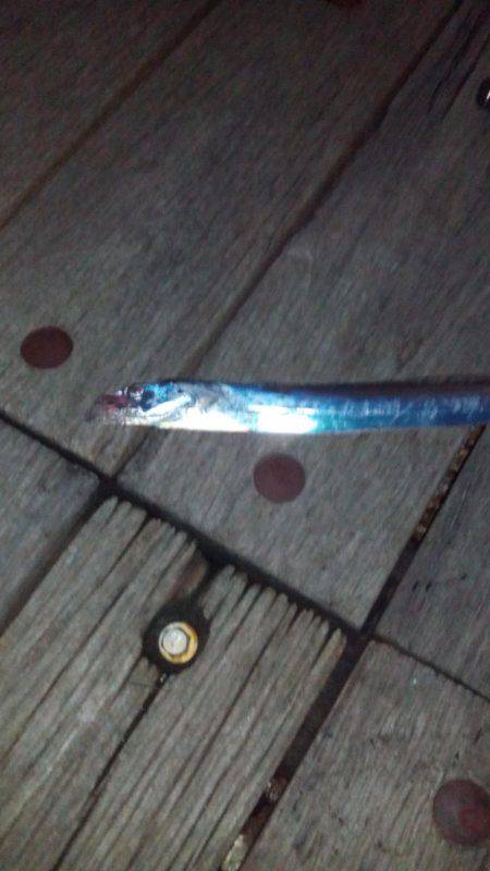 太刀魚ワインド