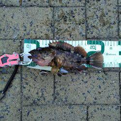 釣りにおいてのモラル、マナーについて。