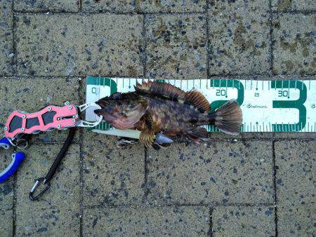 釣りにおいてのモラル、マナーについて。