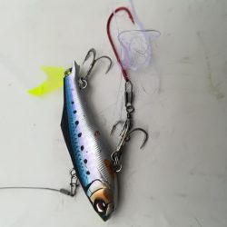 潮が動かない中、先週に続き