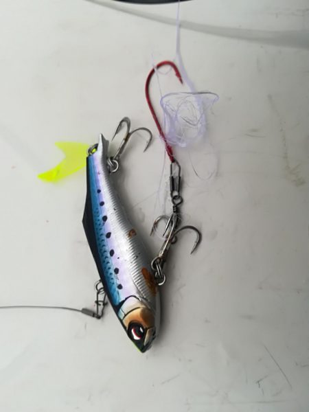 潮が動かない中、先週に続き