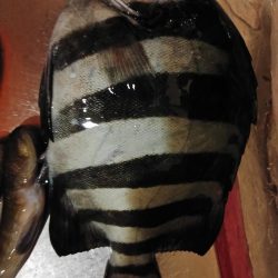 城ケ島へ初上陸！！