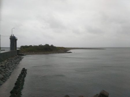 阿南市の那賀川河口でタチウオ