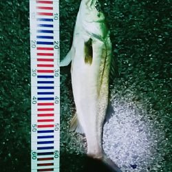 赤灯台先端内側にて