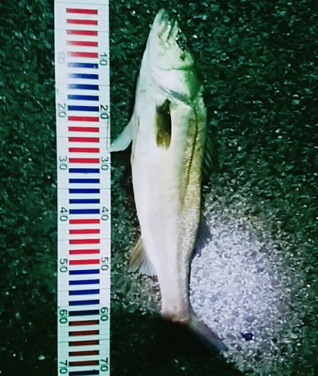 赤灯台先端内側にて