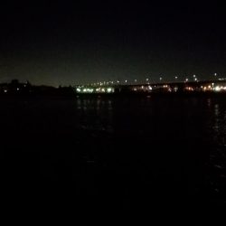 タチウオ　まずまず。