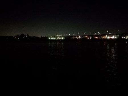 タチウオ　まずまず。