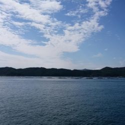 早起きして夜明けにエギング