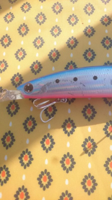 教えたくない！