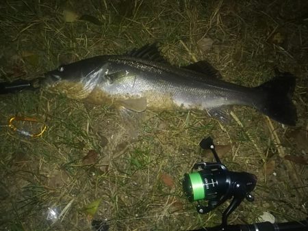 有名ポイントじゃなくても釣れるよ！