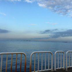 ドラゴンサイズ