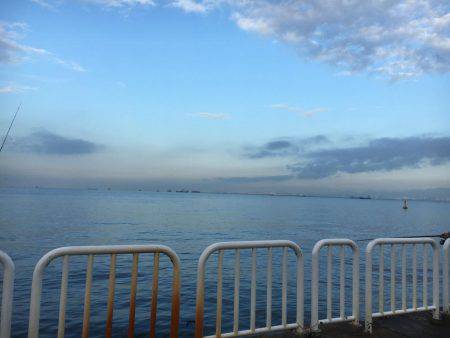 ドラゴンサイズ