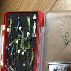 初めてのアジング